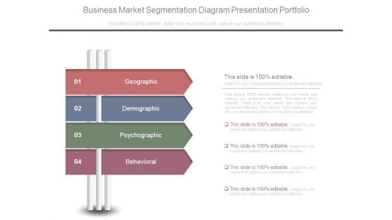 Business Market Segmentation Diagram Presentation Portfolio