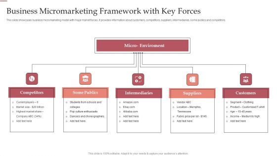 Business Micromarketing Framework With Key Forces Ppt Infographic Template Inspiration PDF