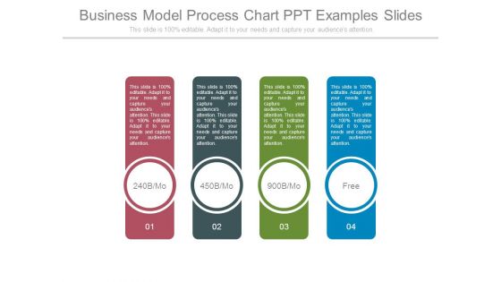 Business Model Process Chart Ppt Examples Slides