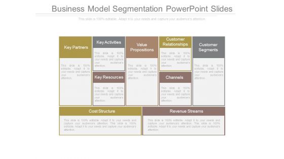 Business Model Segmentation Powerpoint Slides