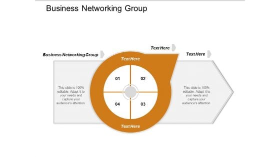 Business Networking Group Ppt PowerPoint Presentation File Vector Cpb