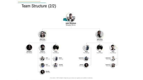 Business Operations Assessment Team Structure Project Ppt PowerPoint Presentation Portfolio Images PDF