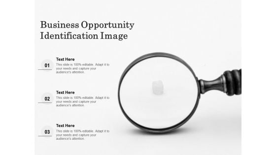 Business Opportunity Identification Image Ppt PowerPoint Presentation Outline Sample PDF