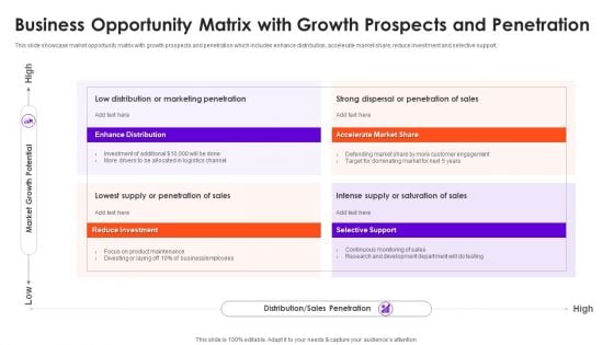 Business Opportunity Matrix With Growth Prospects And Penetration Rules PDF