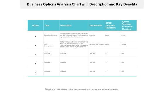 Business Options Analysis Chart With Description And Key Benefits Ppt PowerPoint Presentation Outline Elements