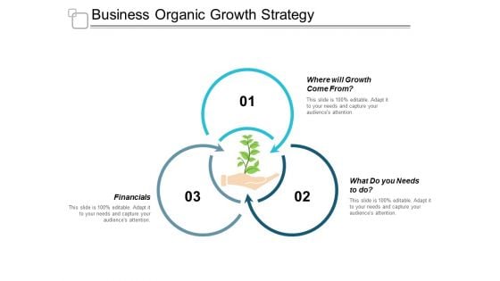 Business Organic Growth Strategy Ppt Powerpoint Presentation Portfolio Gallery