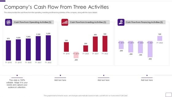 Business Overview Of A Technology Firm Companys Cash Flow From Three Activities Portrait PDF