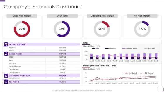 Business Overview Of A Technology Firm Companys Financials Dashboard Sample PDF