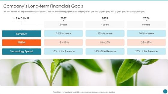 Business Overview Of An Information Technology Company Companys Long Term Financials Goals Guidelines PDF