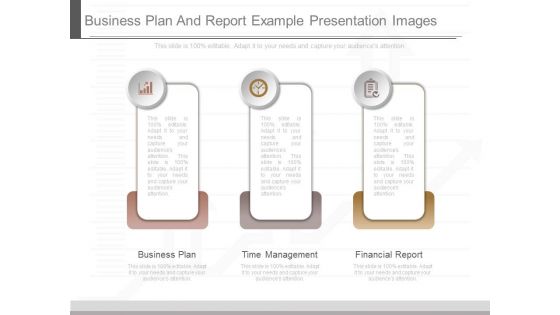 Business Plan And Report Example Presentation Images
