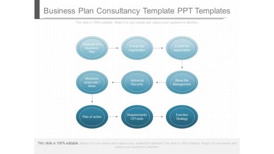 Business Plan Consultancy Template Ppt Templates