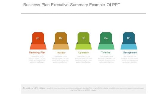 Business Plan Executive Summary Example Of Ppt