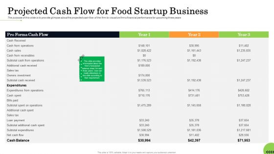 Business Plan For Fast Food Restaurant Projected Cash Flow For Food Startup Business Summary PDF