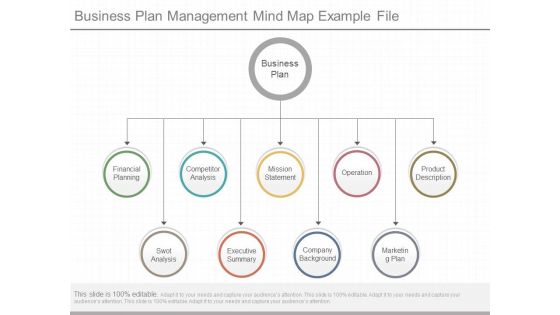 Business Plan Management Mind Map Example File