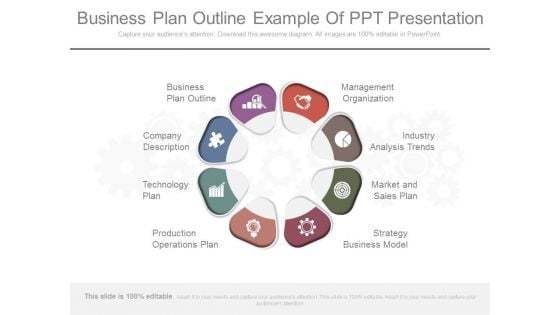 Business Plan Outline Example Of Ppt Presentation