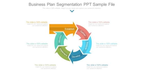 Business Plan Segmentation Ppt Sample File