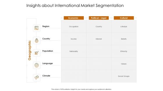 Business Planning And Strategy Playbook Insights About International Market Segmentation Ppt Infographic Template Portfolio PDF