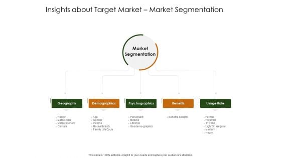 Business Planning And Strategy Playbook Insights About Target Market Market Segmentation Ideas PDF