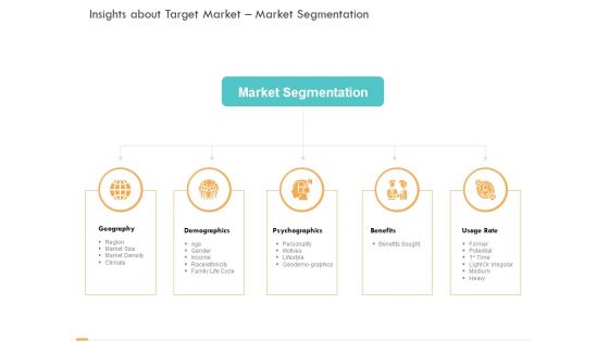 Business Planning And Strategy Playbook Insights About Target Market Market Segmentation Information PDF