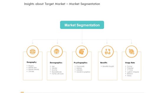 Business Planning And Strategy Playbook Insights About Target Market Market Segmentation Information PDF