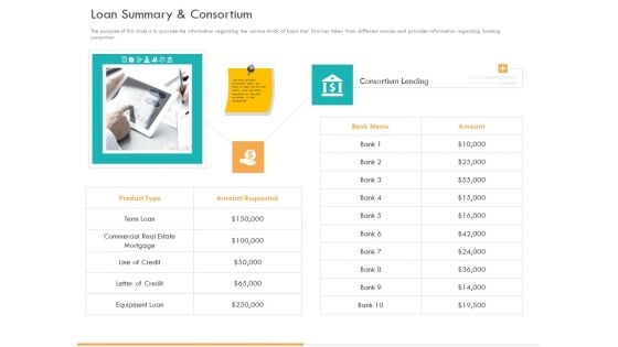 Business Planning And Strategy Playbook Loan Summary And Consortium Ppt PowerPoint Presentation Summary PDF