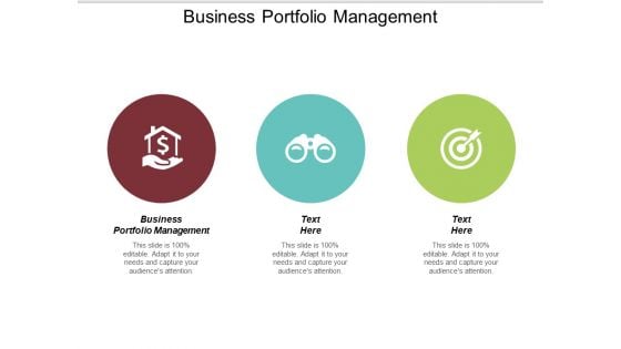 Business Portfolio Management Ppt PowerPoint Presentation Ideas Slides Cpb