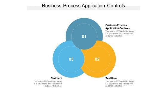 Business Process Application Controls Ppt PowerPoint Presentation File Guidelines Cpb