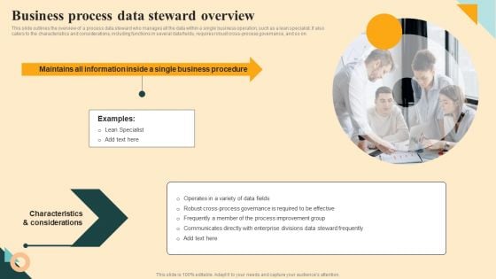 Business Process Data Steward Overview Elements PDF