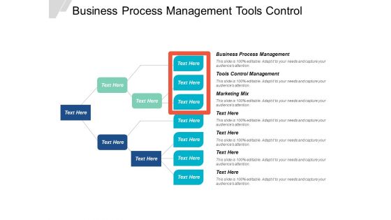 Business Process Management Tools Control Management Marketing Mix Ppt PowerPoint Presentation Gallery Deck