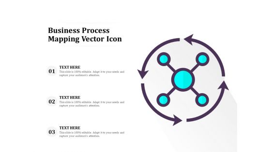 Business Process Mapping Vector Icon Ppt PowerPoint Presentation Slides Clipart PDF