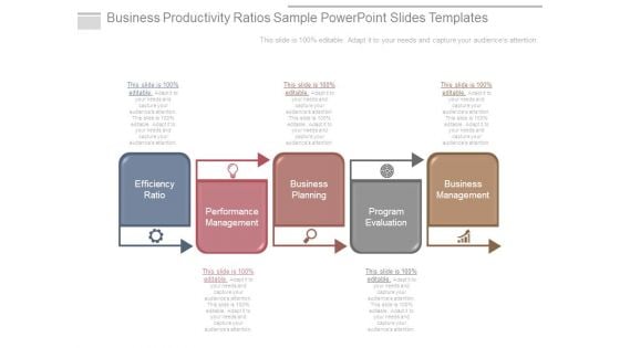 Business Productivity Ratios Sample Powerpoint Slides Templates