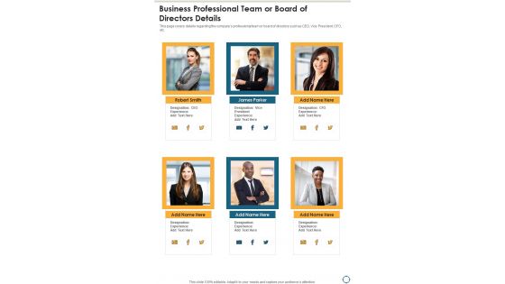 Business Professional Team Or Board Of Directors Details One Pager Documents