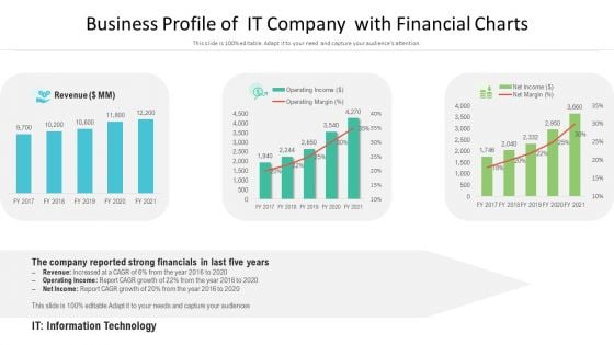 Business Profile Of It Company With Financial Charts Ppt PowerPoint Presentation Model Ideas PDF