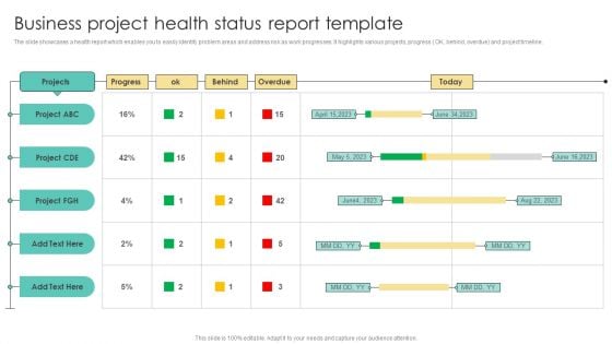 Business Project Health Status Report Template Formats PDF