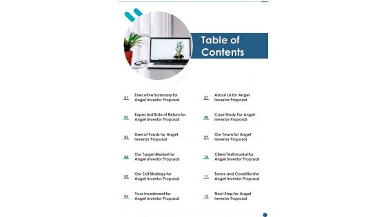 Business Proposal To Raise Funding From Angel Investor Table Of Contents One Pager Sample Example Document