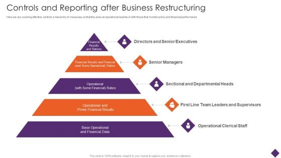 Business Restructuring Controls And Reporting After Business Restructuring Themes PDF