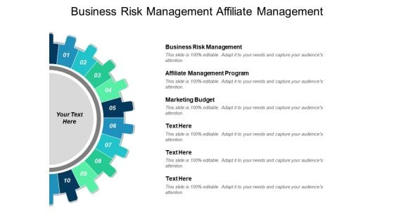 Business Risk Management Affiliate Management Program Marketing Budget Ppt PowerPoint Presentation Inspiration Slideshow