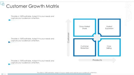 Business Scheme Management Synopsis Customer Growth Matrix Rules PDF