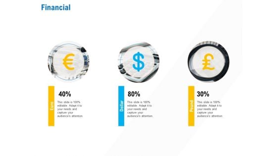 Business Service Provider Financial Infographics PDF