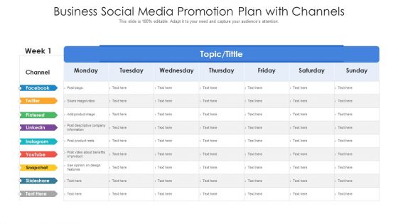 Business Social Media Promotion Plan With Channels Ppt PowerPoint Presentation File Diagrams PDF