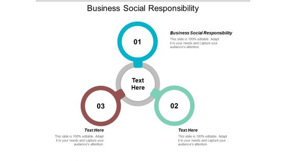 Business Social Responsibility Ppt PowerPoint Presentation Professional Influencers Cpb