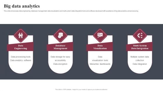 Business Software Development Company Profile Big Data Analytics Professional PDF Business Software Development Company Profile Big Data Analytics Professional PDF