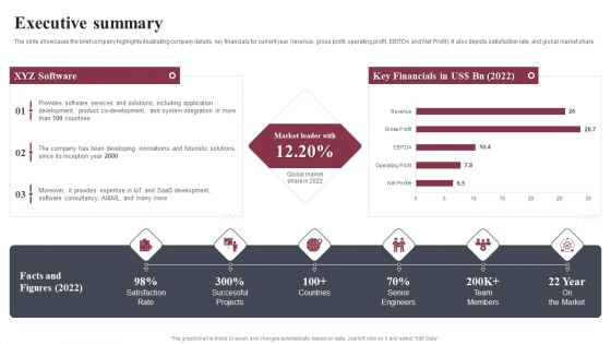 Business Software Development Company Profile Executive Summary Introduction PDF