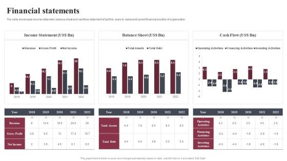 Business Software Development Company Profile Financial Statements Diagrams PDF