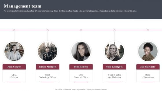 Business Software Development Company Profile Management Team Elements PDF Business Software Development Company Profile Management Team Elements PDF