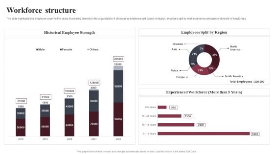 Business Software Development Company Profile Workforce Structure Information PDF