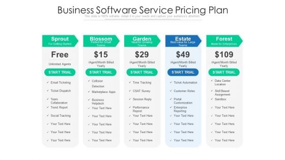 Business Software Service Pricing Plan Ppt Portfolio Elements PDF