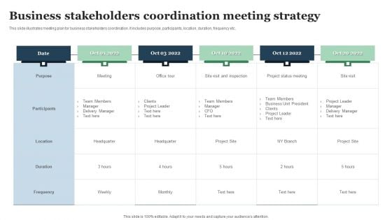 Business Stakeholders Coordination Meeting Strategy Demonstration PDF