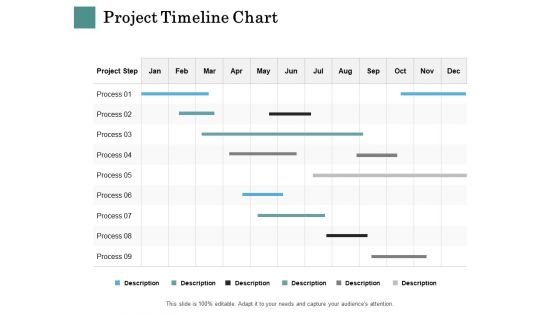 Business Strategies Project Timeline Chart Ppt Show Background Images PDF