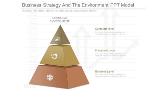 Business Strategy And The Environment Ppt Model